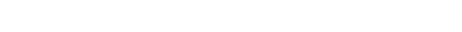 logowhite